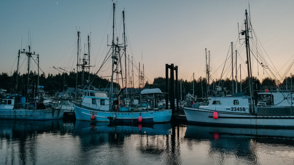 Boats in a harbour at sunset. 