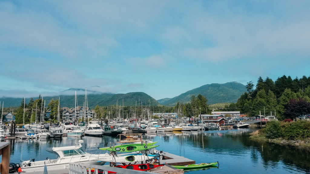 Ucluelet harbour; boats docked; kayaks lined up on a dock. 