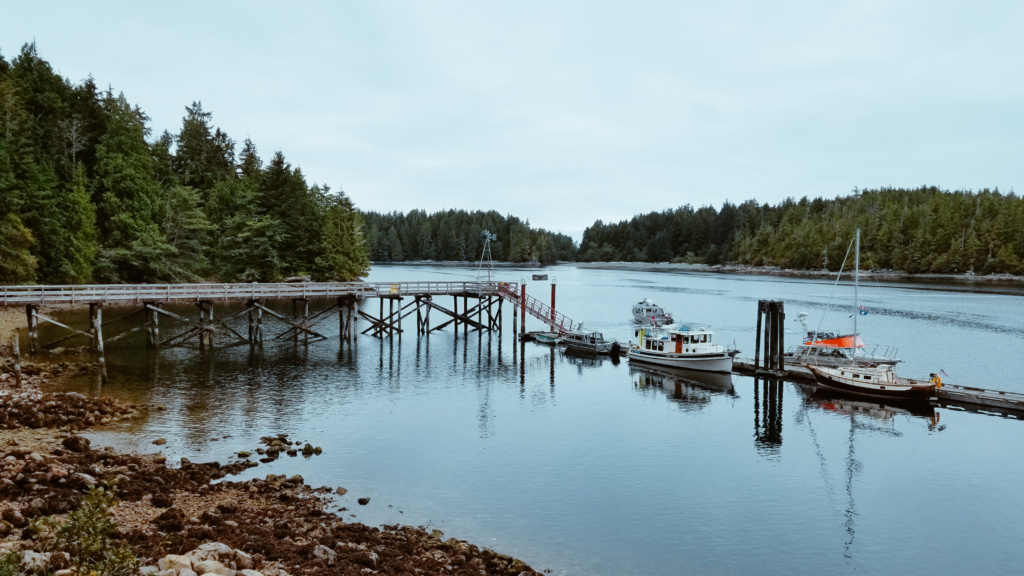 A boat dock on the Pacific shoreline on Vancouver Island.