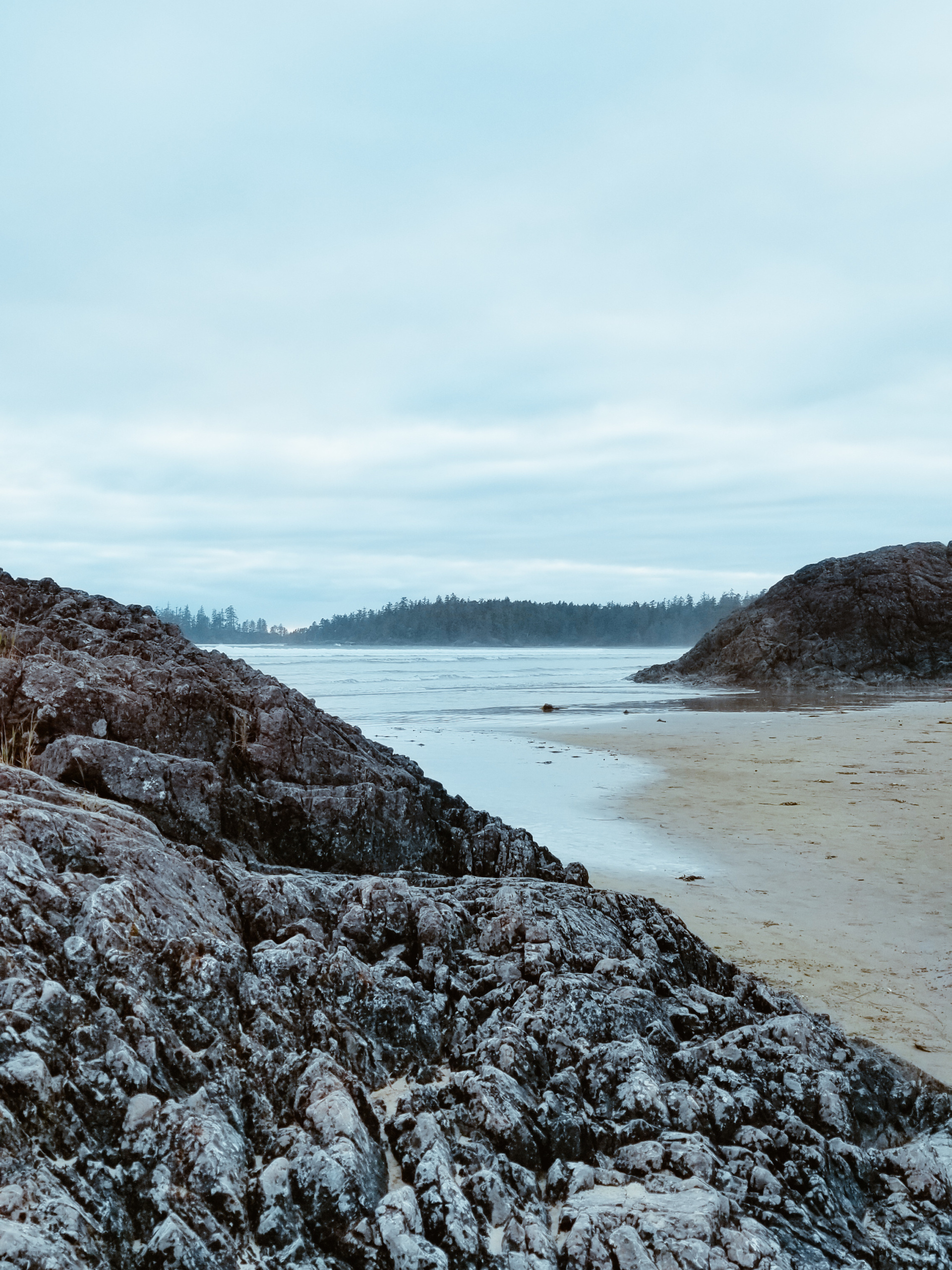 View of Long Beach, Tofino at sun down with the tide going out. 