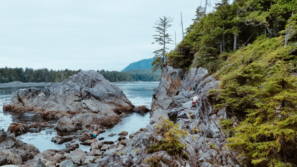 A view of the Pacific Ocean from Hot Springs Cove. The foreground is rocky and treed and the background is ocean.